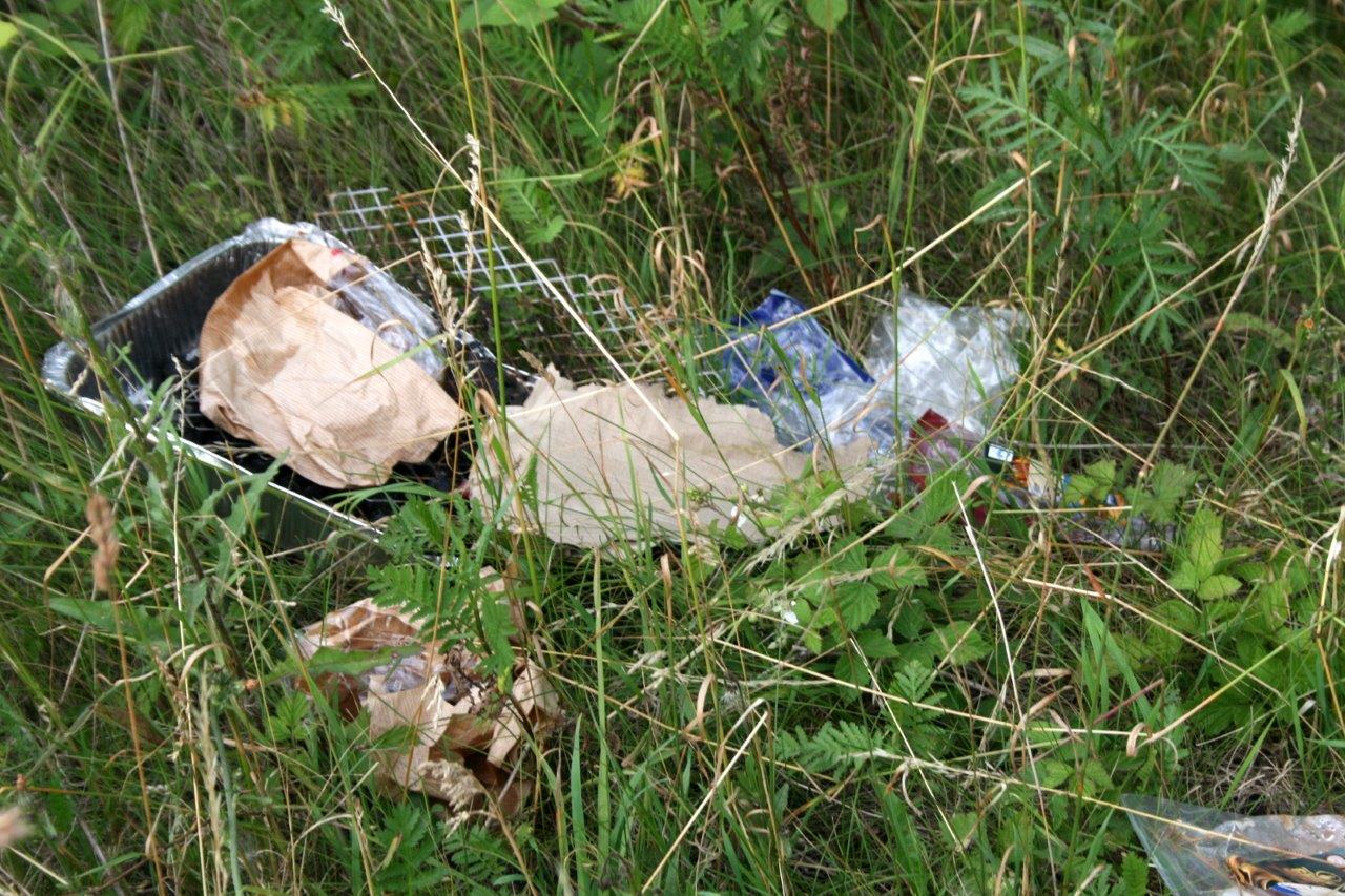 21-Hufeisensee Westufer Vermüllung