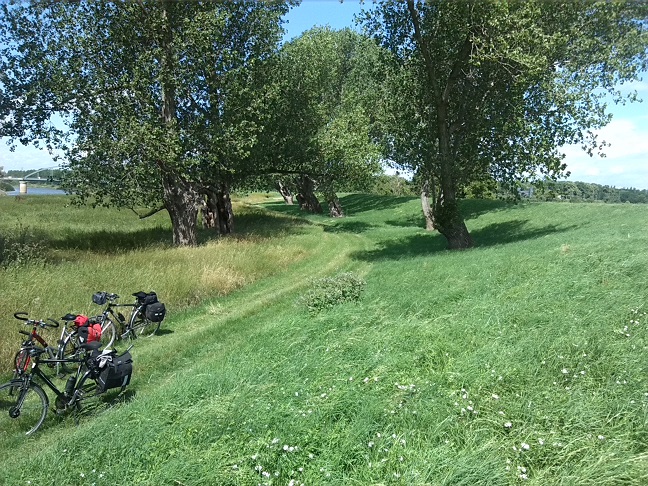 21a-Calbe Saaledeich Östlich Von Calbe Ost Blick Nach Nordwesten (1)