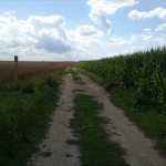 21a-Salzatal Verbindungsweg Dölauer Heide Lintbusch & Bennstedt Blick Nach Südwesten Nach Bennstedt (2)