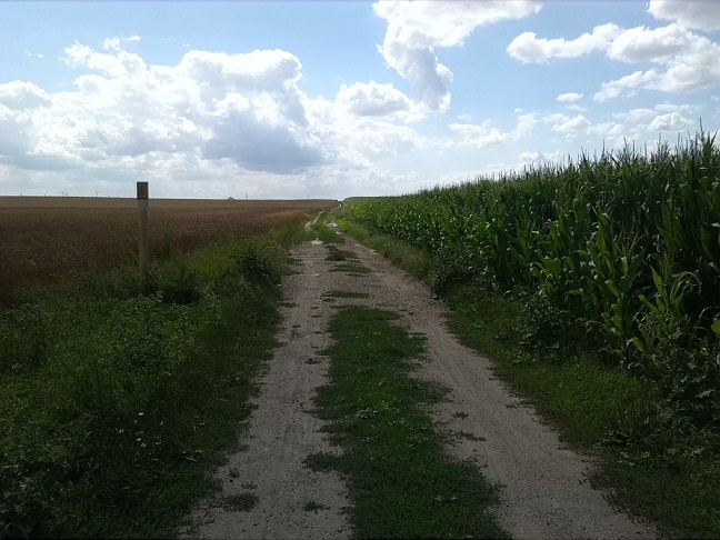 21a-Salzatal Verbindungsweg Dölauer Heide Lintbusch & Bennstedt Blick Nach Südwesten Nach Bennstedt (2)
