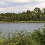 22-Hufeisensee Westufer Blick Nach Osten Zu Innenkippe