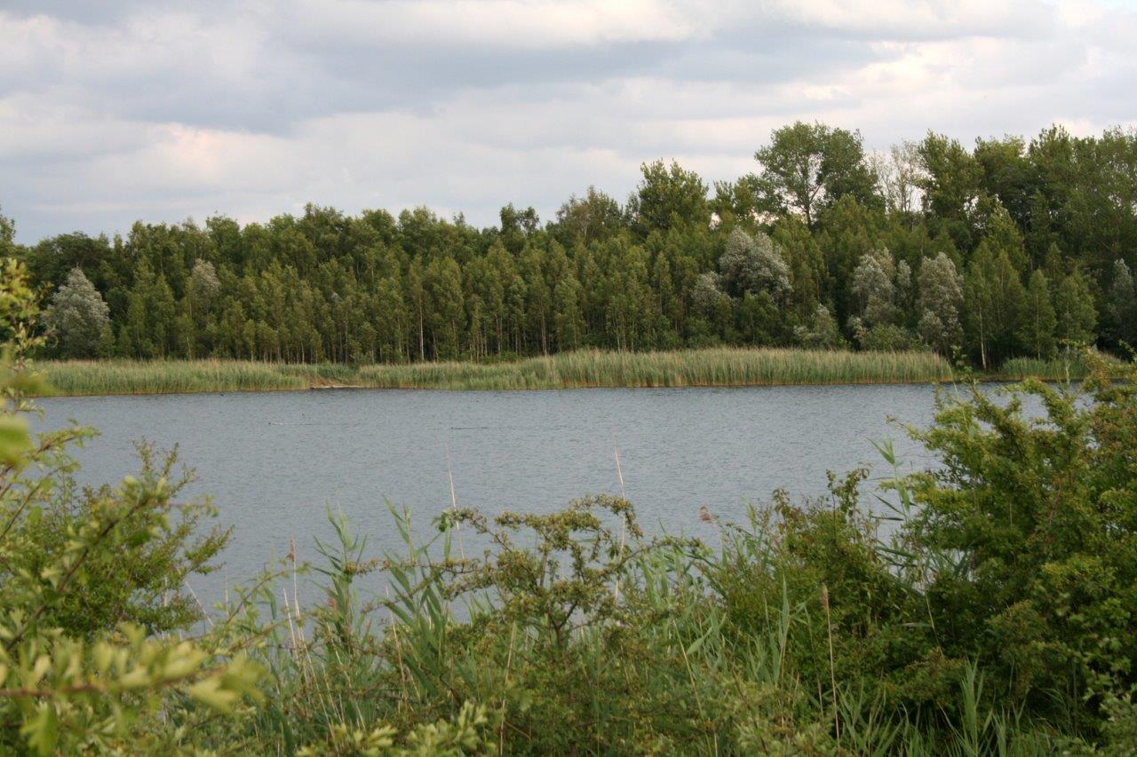 22-Hufeisensee Westufer Blick Nach Osten Zu Innenkippe