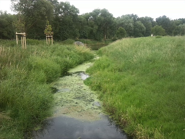 22a-Einmündung EhleIn Bode Blick Nach Südosten (1)
