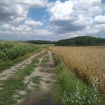 22a-Salzatal Verbindungsweg Dölauer Heide Lintbusch & Bennstedt Blick Nach Nordosten Zu Dölauer Heide & Lintbusch (2)