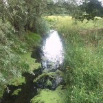 23a-Ehle Vor Einmündung In Bode Blick Nach Nordwesten (2)