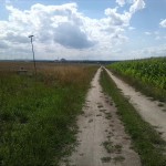 23a-Salzatal Verbindungsweg Dölauer Heide Lintbusch & Bennstedt Blick Nach Südwesten Nach Bennstedt (1)