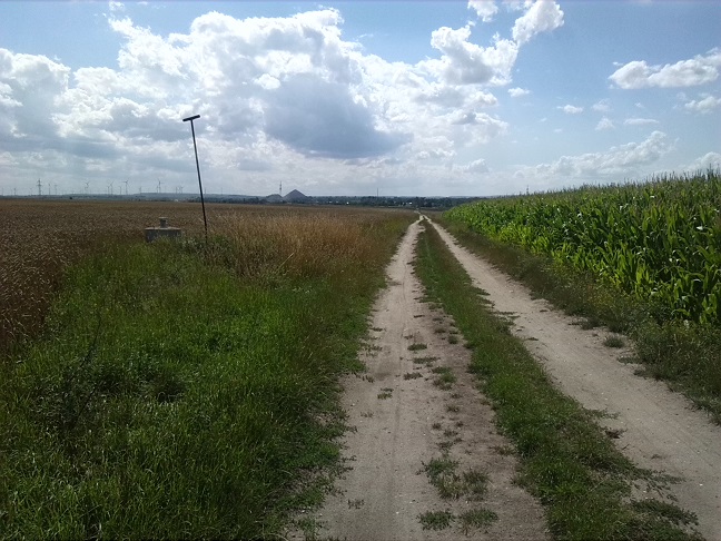 23a-Salzatal Verbindungsweg Dölauer Heide Lintbusch & Bennstedt Blick Nach Südwesten Nach Bennstedt (1)