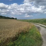 24a-Salzatal Verbindungsweg Dölauer Heide Lintbusch & Bennstedt Blick Nach Norden In Richtung Zorges (1)