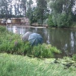 27a-Einmündung Der Ehle In Die Bode Blick Nach Norden (2)