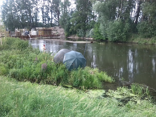 27a-Einmündung Der Ehle In Die Bode Blick Nach Norden (2)