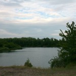 28-Hufeisensee Südufer Blick Nach Nordosten Zur Innenkippe