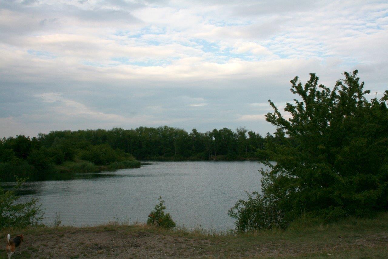 28-Hufeisensee Südufer Blick Nach Nordosten Zur Innenkippe