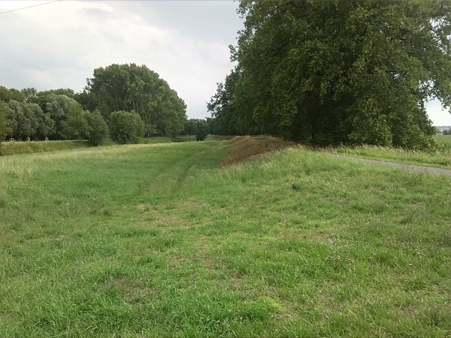 28a-Bodedeich Zwischen Mündungsgebieten Ehle & Röthe Nach Süden (2)
