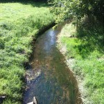 28a-Salzatal Köllme Blick Zu Würdebach Vor Einmündung In Salza Bachabwärts Nach Nordwesten (1)