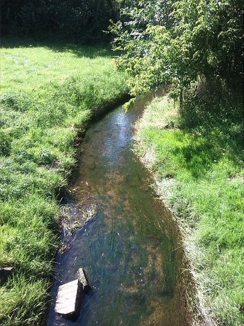 28a-Salzatal Köllme Blick Zu Würdebach Vor Einmündung In Salza Bachabwärts Nach Nordwesten (1)
