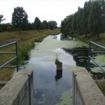 29a-Athensleben Mündungsgebiet Röthe In Bode Blick Nach Nordwesten (1)