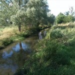 29a-Salzatal Köllme Blick Zu Salza Nach Norden Flussabwärts Vor Einmündung Würdebach (1)