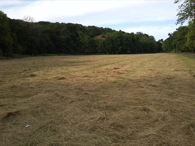 2a-Blick Von Westen Nach Osten (1)