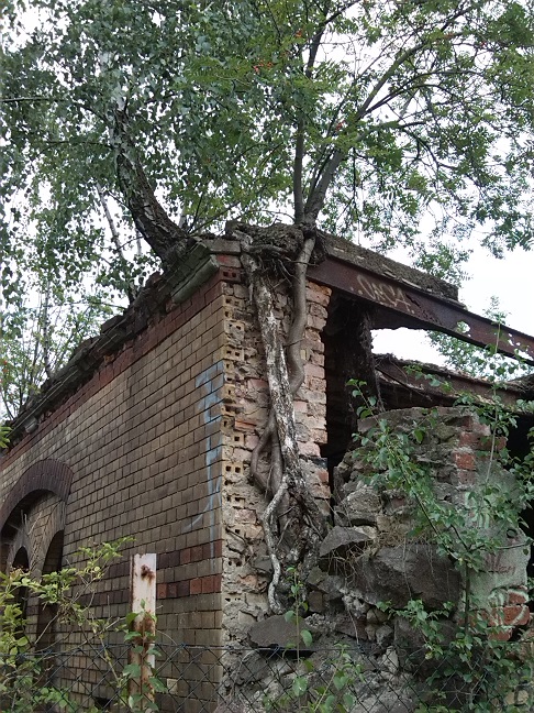 2a-Kröllwitz Papiermühle Blick Zum Turbinenhaus (2)