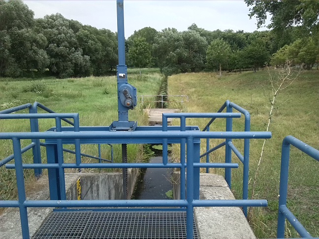 30a-Athensleben Mündungsgebiet Röthe In Bode Blick Nach Südosten In Richtung Einmündung In Bode (2)