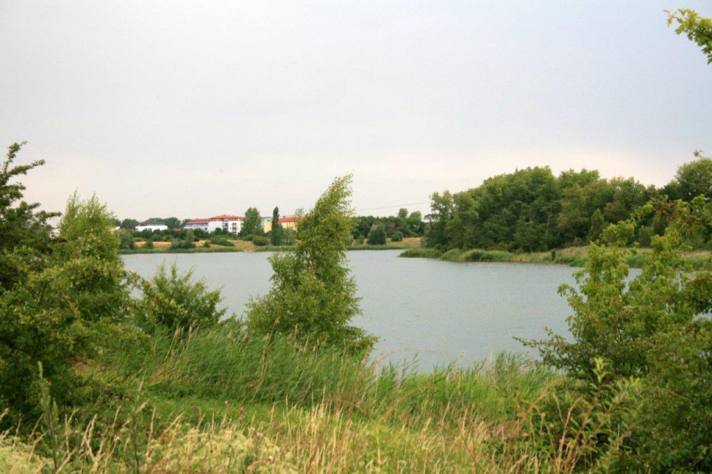 31-Hufeisensee Westufer Blick Nach Norden