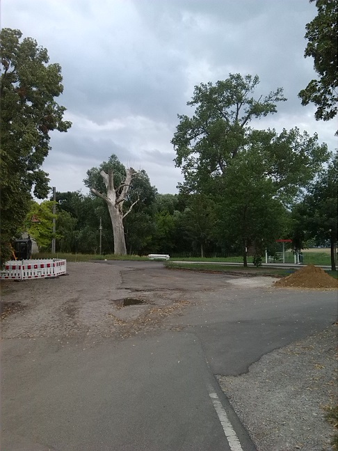 31a-Athensleben Zentraler Platz Blick Nach Südosten (1)