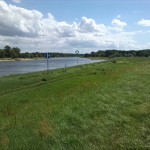 31a-Barby-Blick Zur Mündung Der Saale In Elbe (1)