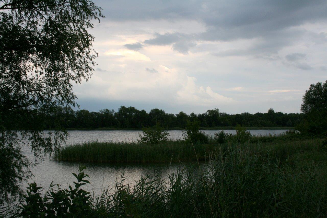 32-Hufeisensee Westufer Blick Nach Osten Zu Innenkippe