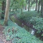 32a-Gemeinde Petersberg Ostrau Rieda Im Nordtteil Des Schlossparks Blick Nach Westen (2)