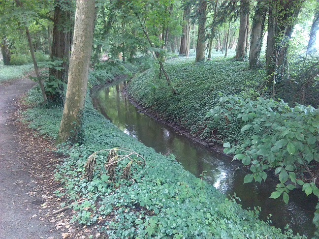 32a-Gemeinde Petersberg Ostrau Rieda Im Nordtteil Des Schlossparks Blick Nach Westen (2)