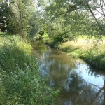 32a-Salzatal Köllme Blick Zu Salza Nach Südwesten Flussaufwärts Vor Einmündung Würdebach (1)