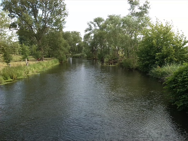 32a-Stassfurt Brücke Zwischen Gänsefurth & Nord Blick Bodeabwärts Nach Südosten (1)