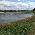 33a-Barby-Blick Zur Mündung Der Saale In Elbe (1)