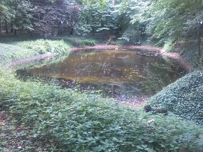 33a-Gemeinde Petersberg Ostrau Teich Im Nordwestteil Des Schlossparks (2)