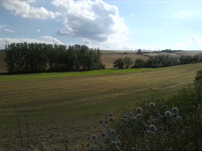 34a-Salzatal Müllerdorf Kalkberg Blick Nach Südwesten Ins Laweketal (2)