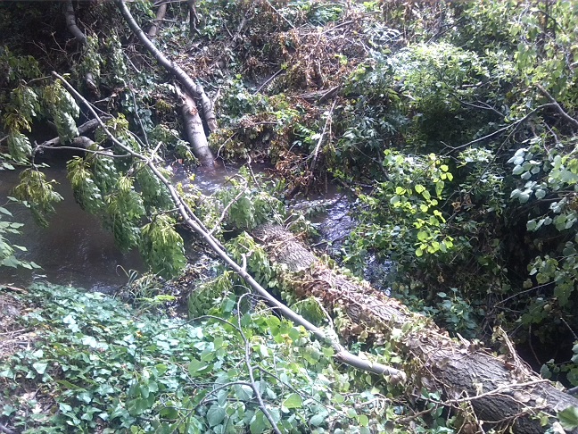 35a-Gemeinde Petersberg Ostrau Rieda Am Nordwestrand Des Schlossparks (2)