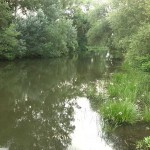 35a-Stassfurt Wehr Zwischen Kleingartenanlage Gänsefurther Straße & Die Horst Blick Bodeaufwärts Nach Nordwesten