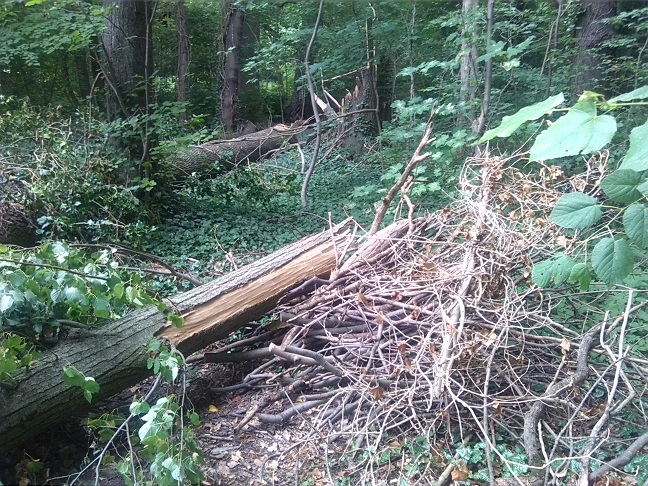 36a-Gemeinde Petersberg Ostrau Brucholz An Rieda Am Nordwestrand Des Schlossparks (2)