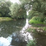 37a-Stassfurt Wehr Zwischen Kleingartenanlage Gänsefurther Straße & Die Horst Blick Bodeabwärts Nach Südosten (1)