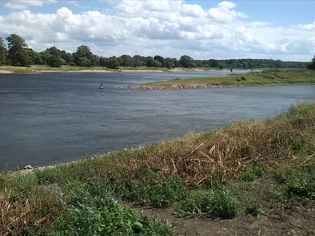 38a-Barby-Blick Zur Mündung Der Saale In Elbe (1)