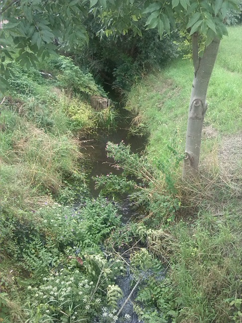 39a-Gemeinde Petersberg Ostrau Rieda Am Hoppberg Gewässeraufwärts Blick Nach Südosten (1)