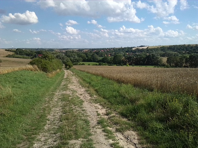 39a-Salzatal Müllerdorf Kalkberg Blick Nach Müllerdorf & Ins Laweketal (1)