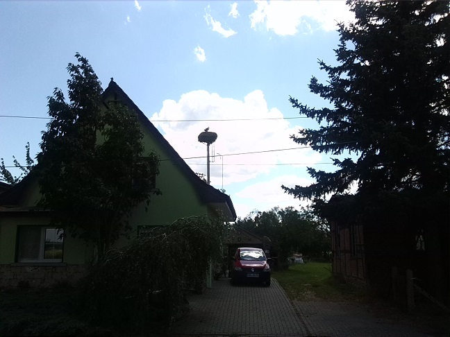 40a-Barby-Blick Zu Storchennest An Der Fähre L51 (1)