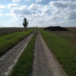 40a-Salzatal Verbindungsweg Fienstedt & Beesenstedt Blick Nach Nordwesten Nach Beesenstedt (1)