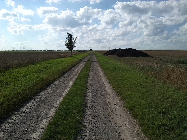 40a-Salzatal Verbindungsweg Fienstedt & Beesenstedt Blick Nach Nordwesten Nach Beesenstedt (1)