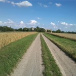 41a-Salzatal Verbindungsweg Fienstedt & Beesenstedt Blick Nach Südosten Nach Fienstedt (1)