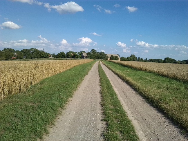 41a-Salzatal Verbindungsweg Fienstedt & Beesenstedt Blick Nach Südosten Nach Fienstedt (1)