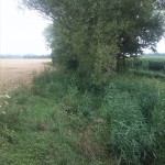 45a-Gemeinde Petersberg Brücke Verbindungsstraße Kösseln & Mösthinsdorf Blick Auf Rieda Gewässerabwärts Nach Norden (2)