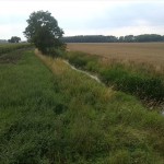 48a-Gemeinde Petersberg Mösthinsdorf Nordwestecke Schlossfuhne Blick Auf Fuhne Flussabwärts Nach Nordwesten (2)