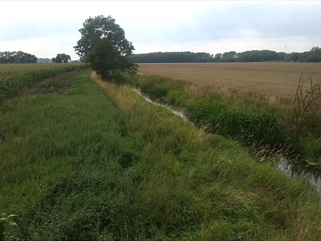 48a-Gemeinde Petersberg Mösthinsdorf Nordwestecke Schlossfuhne Blick Auf Fuhne Flussabwärts Nach Nordwesten (2)